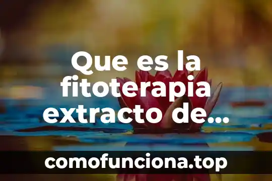 Que es arte extracto 7 Que es la fitoterapia extracto de plantas medicinales