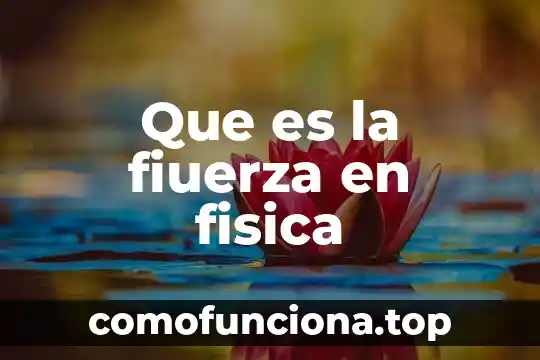 Que es la depreciacion de propiedad planta y equipo 5 Que es la fiuerza en fisica