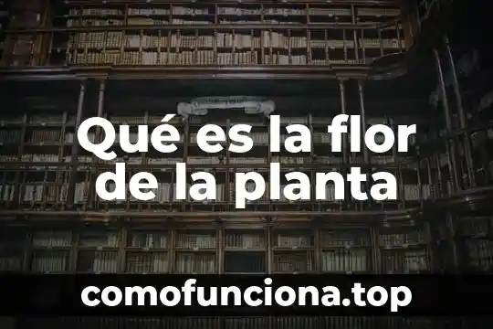 Que es la chigualcan planta 4 Qué es la flor de la planta