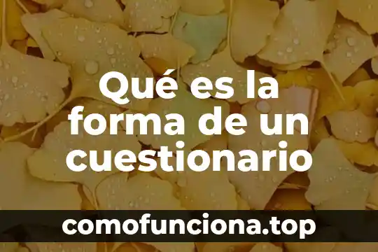 Qué es el color como se forma 6 Qué es la forma de un cuestionario