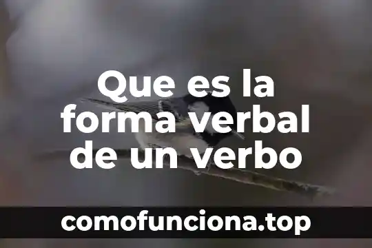 Que es el relieve de contenentalidad y como se forma 5 Que es la forma verbal de un verbo