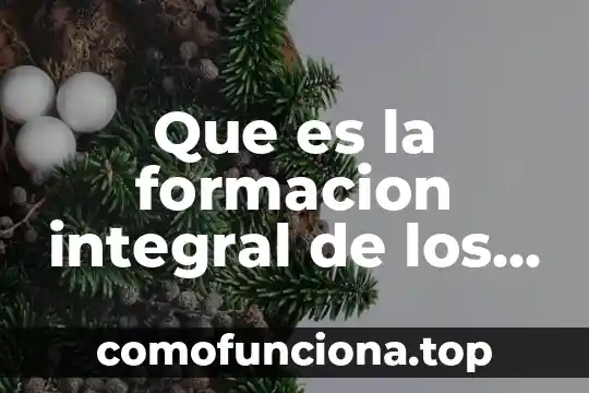Que es la atencion integral del anciano 4 Que es la formacion integral de los estudiantes
