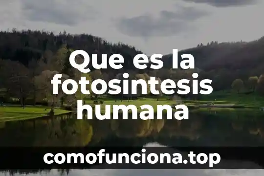 Que es la fotosintesis solo el nombre 7 Que es la fotosintesis humana