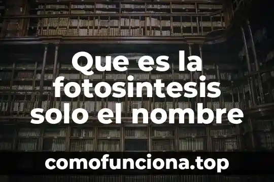 Qué es la fotosíntesis con datos curiosos 3 Que es la fotosintesis solo el nombre