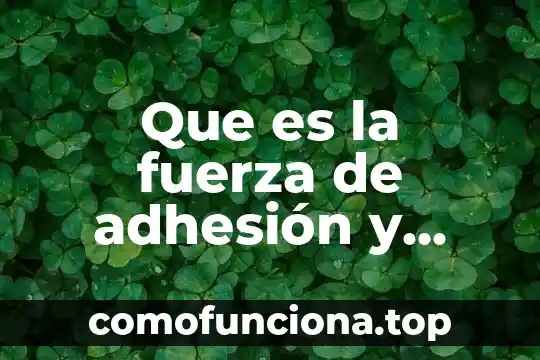 Que es sentido de pertenencia y cohesion social 7 Que es la fuerza de adhesión y cohesión