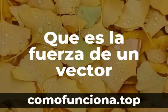 Vector de identidad que es 3 Que es la fuerza de un vector