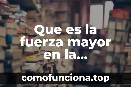Cómo se le llama el ángulo que es mayor 3 Que es la fuerza mayor en la exoneracion del deudor
