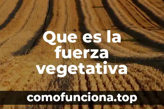 Que es fuerza directriz 7 Que es la fuerza vegetativa