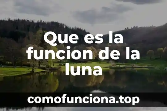 Que es mejor la lumiskin o la luna 7 Que es la funcion de la luna