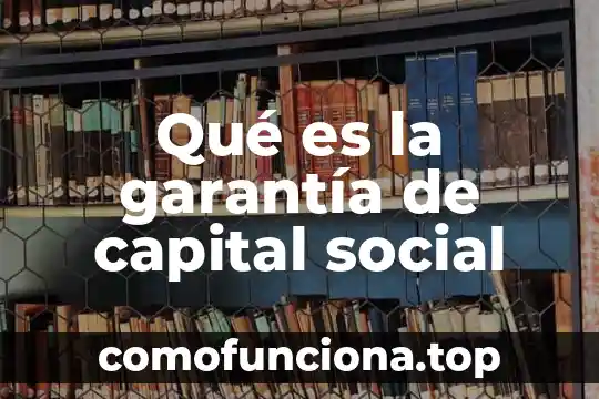 Que es el capital social y tipos de capital social 7 Qué es la garantía de capital social