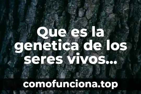 Que es diversidad de los seres vivos concepto 4 Que es la genetica de los seres vivos funciones