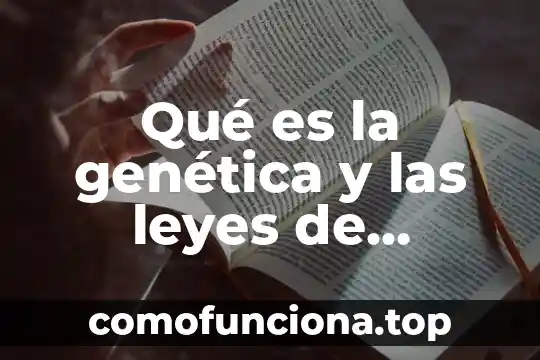 Que es la herencia unam 3 Qué es la genética y las leyes de herencia