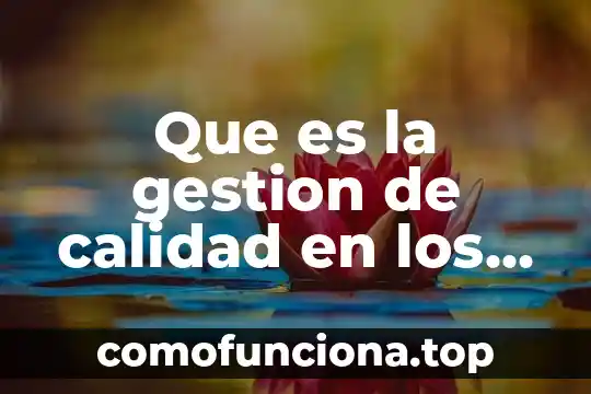 Que es un campo en gestion del conocimiento 3 Que es la gestion de calidad en los procesos