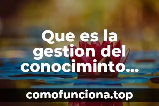 Paradigma que es gesti贸n de proyectos de software 6 Que es la gestion del conociminto de innovacion