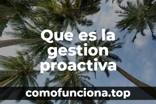 Qué es la gestión integral de riesgos y desastres 8 Que es la gestion proactiva