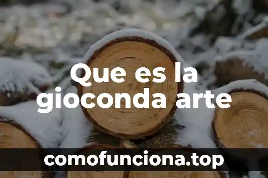 Que es bidimensional y tridimensional en el arte 4 Que es la gioconda arte