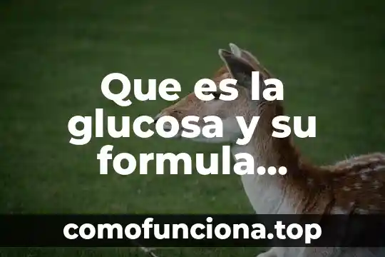 Que es la velocidad de reaccion quimica 5 Que es la glucosa y su formula química