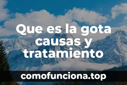 Que es un homogeneizador planta tratamiento 5 Que es la gota causas y tratamiento