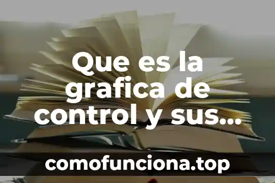 Qué es gráfica en arte 3 Que es la grafica de control y sus funciones