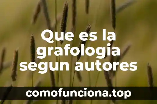 Según distintos autores que es el razonamiento 8 Que es la grafologia segun autores