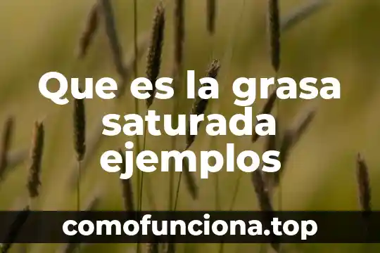 Que es grasa no solida 5 Que es la grasa saturada ejemplos