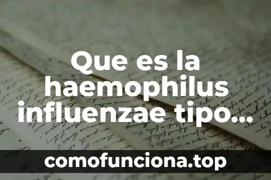Tipo de planta que es el aguacate 7 Que es la haemophilus influenzae tipo b