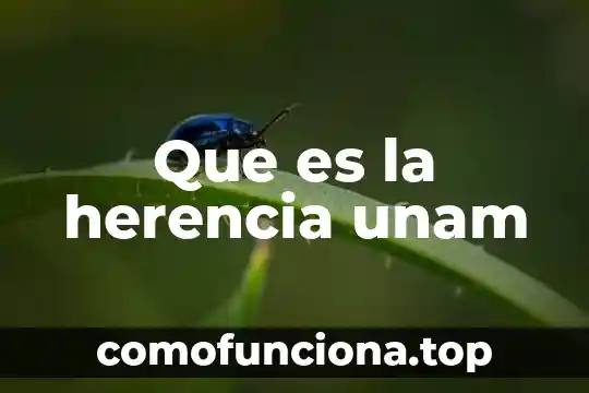 Qué es la genética y las leyes de herencia 8 Que es la herencia unam