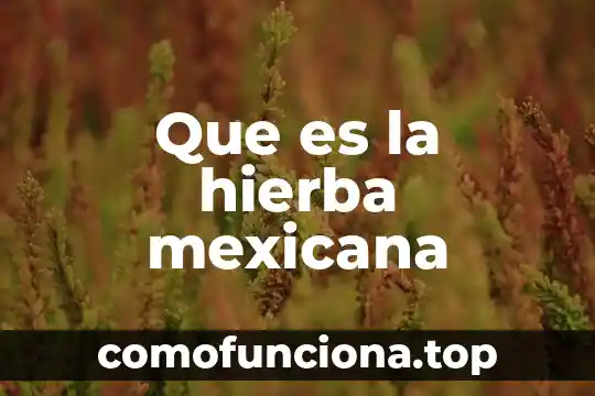 Que es la bandera mexicana 7 Que es la hierba mexicana