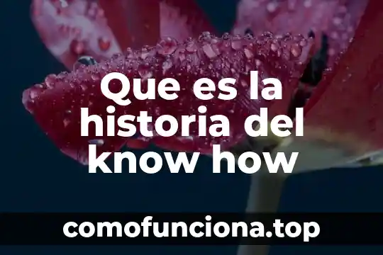 Marc Auge que es historia 8 Que es la historia del know how