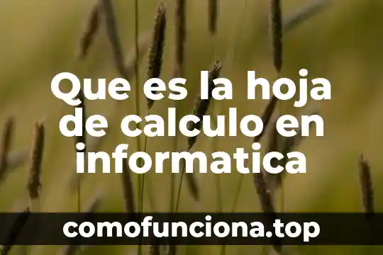 Que es la biodiversidad significado mas de una hoja 4 Que es la hoja de calculo en informatica