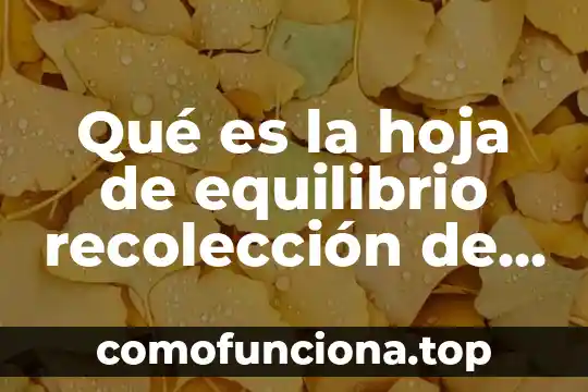 Que es procedimiento de recoleccion diseño del experimento 8 Qué es la hoja de equilibrio recolección de datos