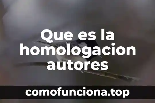 Que es el siglo de oro y autores mas reprecentativos 8 Que es la homologacion autores