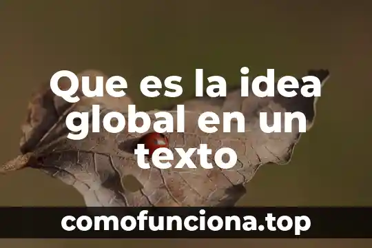 Que es una idea principal en un texto 6 Que es la idea global en un texto