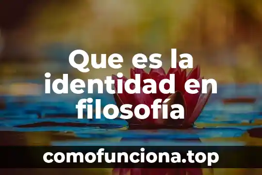 Qué es un accidente en filosofía 8 Que es la identidad en filosofía