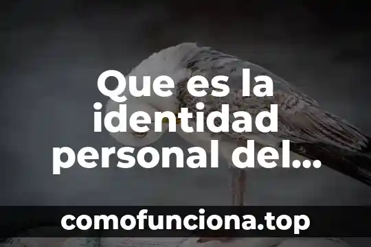 Que es el compromiso como estudiante 4 Que es la identidad personal del estudiante