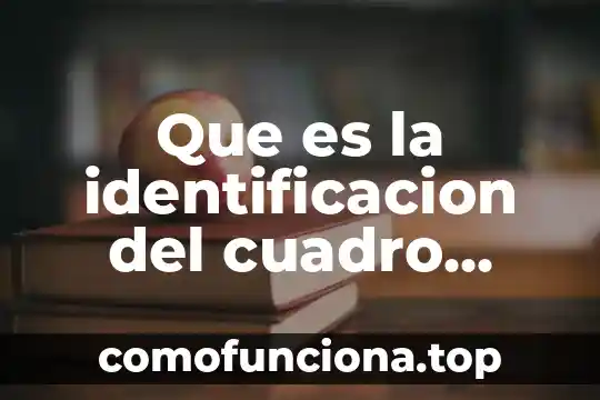 Qué es el número de identificación vehicular NIV 3 Que es la identificacion del cuadro tradicionañ