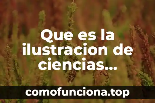 Que es sociedad segun el periodo de la ilustracion 5 Que es la ilustracion de ciencias sociales