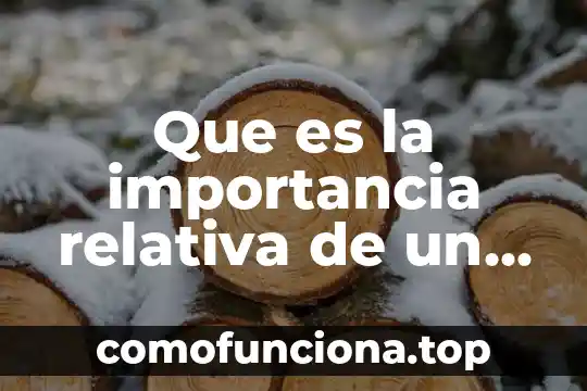 Que es un rio y que importancia tiene 3 Que es la importancia relativa de un componente