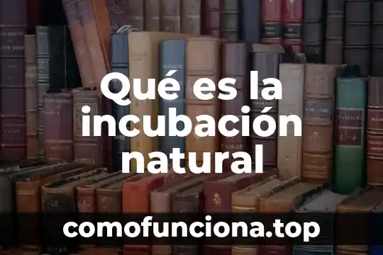 Qué es patrimonio natural 5 Qué es la incubación natural