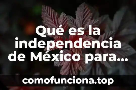 Qué es la capacidad definición para niños 8 Qué es la independencia de México para niños de primaria