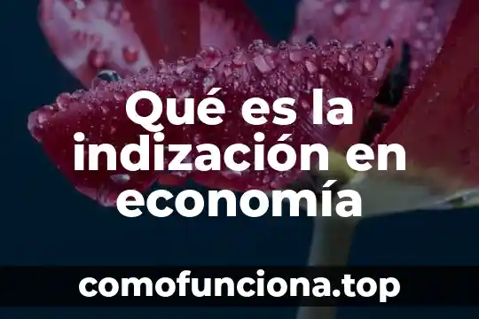 Qué es repuderación en economía 4 Qué es la indización en economía