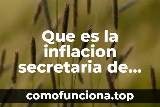 Que es concepto de economia colaborativa 8 Que es la inflacion secretaria de economia