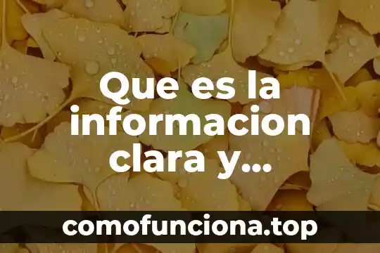 Información que es una adivinanza con metáfora 5 Que es la informacion clara y coherente