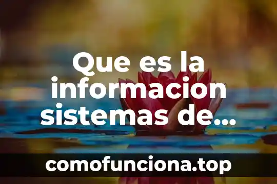 Investigar que es los tipos de representación geográfica 6 Que es la informacion sistemas de informacion geografica
