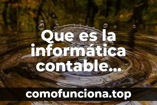 Que es la planeación de la auditoria administrativa 8 Que es la informática contable administrativa