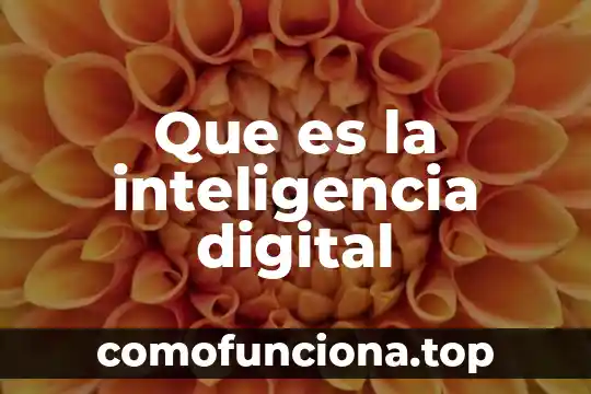 Que es las dsa firma digital 4 Que es la inteligencia digital