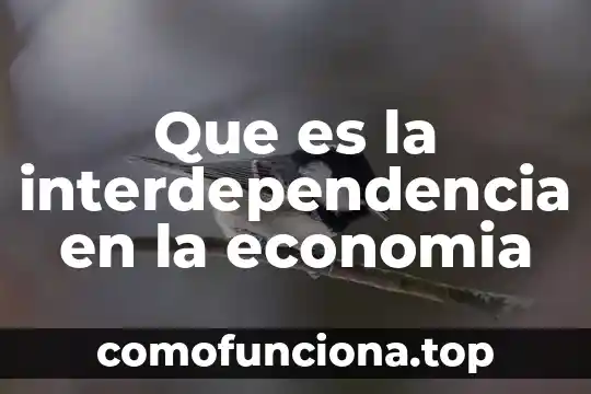 Que es pia aip fip y pif en economia 3 Que es la interdependencia en la economia