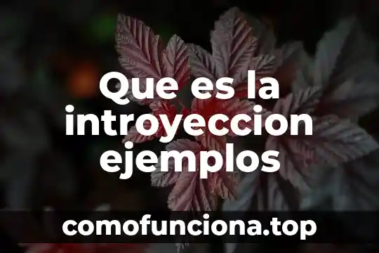 Que es un fetiche y ejemplos de mujeres 7 Que es la introyeccion ejemplos