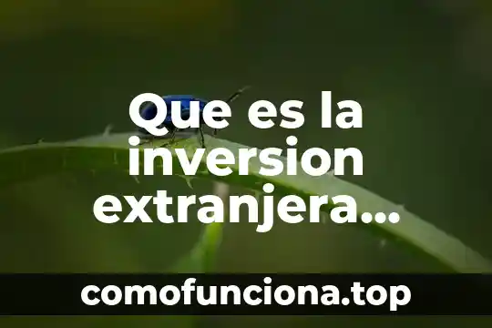 Qué es connotación en economía 5 Que es la inversion extranjera directa en economia