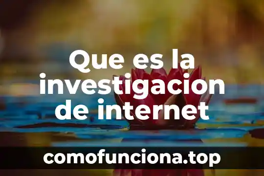 Que es internet y sus servicios basicos 8 Que es la investigacion de internet